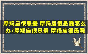 摩羯座很愚蠢 摩羯座很愚蠢怎么办/摩羯座很愚蠢 摩羯座很愚蠢怎么办-我的网站